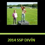 2014 ssp divin