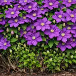 Prečo jarné prerezávanie plamienkov premení krehký krík na stenu kvetov preco-jarne-prerezavanie-plamienkov-premeni-krehky-krik-na-stenu-kvetov.png