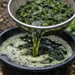 Prírodný doping pre sadenice a záhony pred bodavou burinou prirodny-doping-pre-sadenice-a-zahony-pred-bodavou-burinou.png